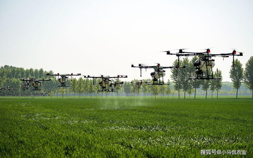 无人化浪潮下的新农人 农业科技革命与未来耕作图景