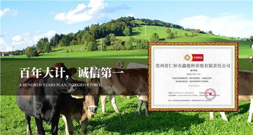 贵州有机农业的发展路径 以仁怀市鑫德种养殖有限责任公司为例