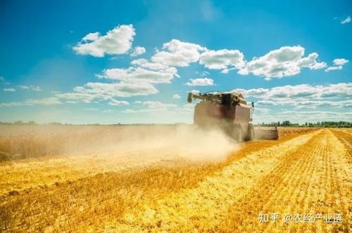 新零售 的前世今生