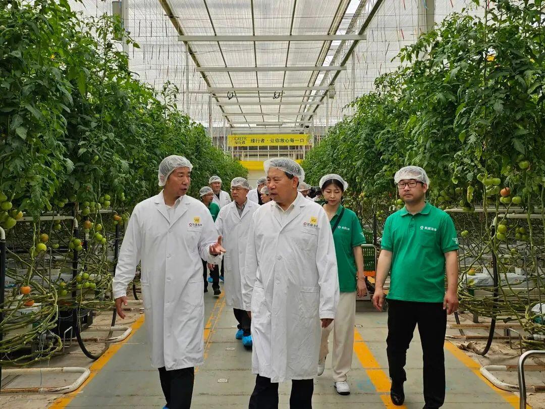 科技赋能农业新篇 刘中会副主任委员赴凯盛浩丰考察调研农业种植技术开发