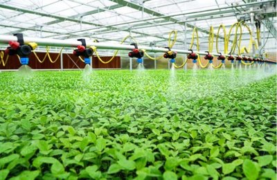 福建百香果产业示范园盛装开园 新罗或成全国百香果产业示范区 农业种植技术开发